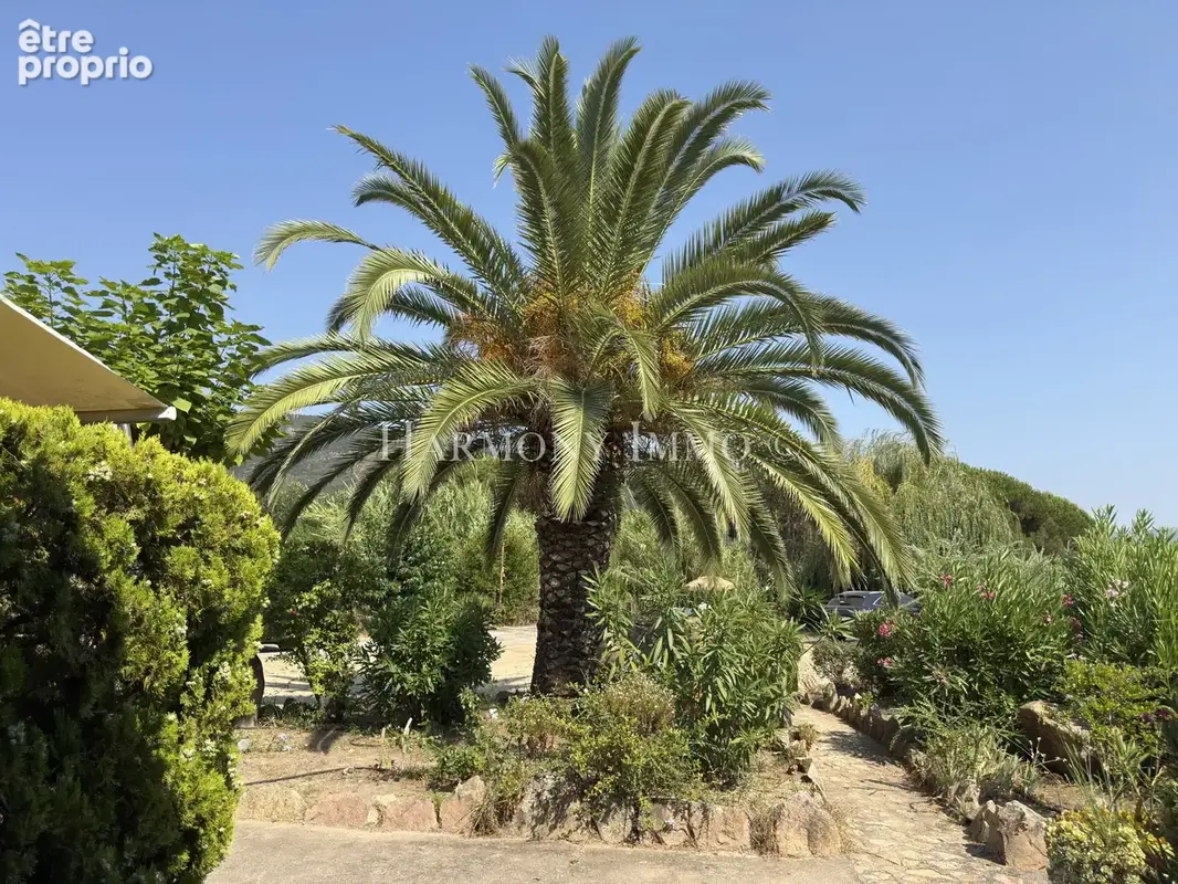 Rare : Rez de jardin - Pied dans l’eau - Aperçu mer. - photo 1