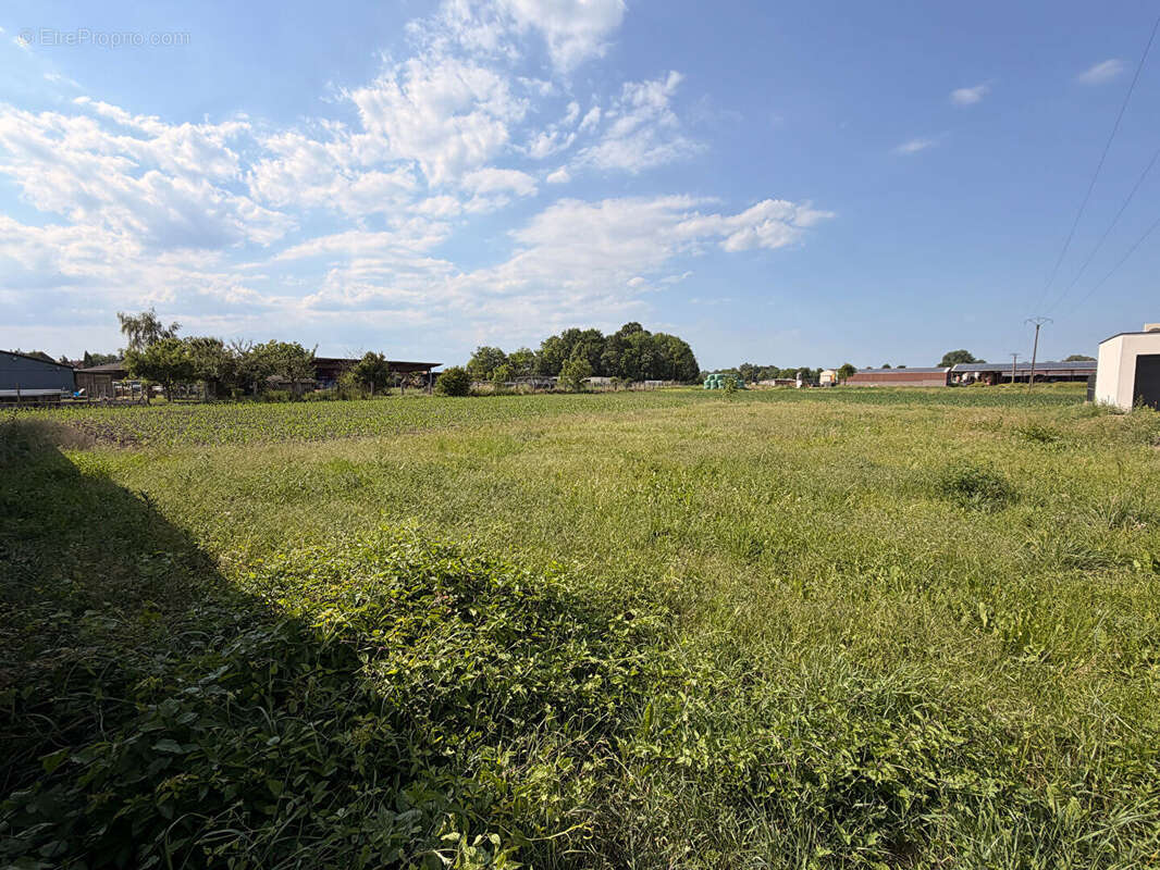 Terrain constructible 701 m2 à Heidolsheim - photo 3