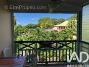 Photo 1 - Appartement à SAINTE-ANNE