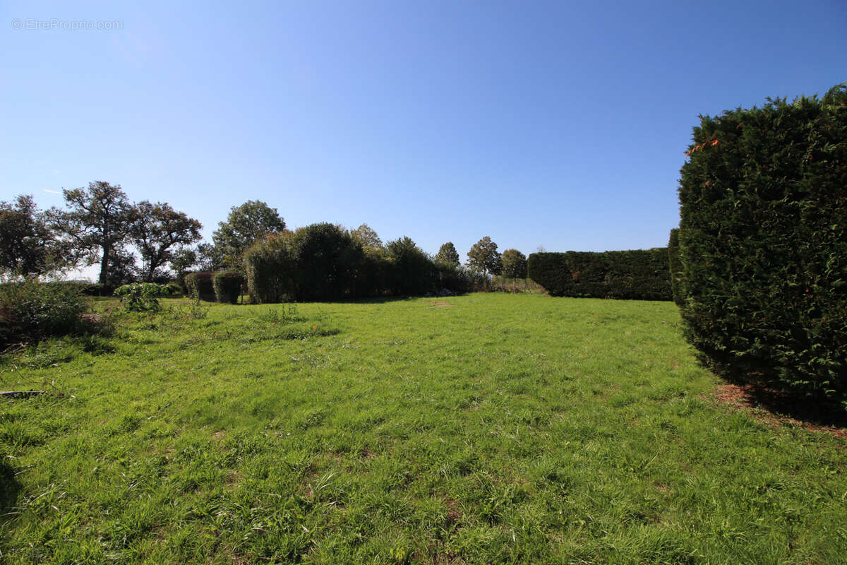 Terrain à BEAUNE