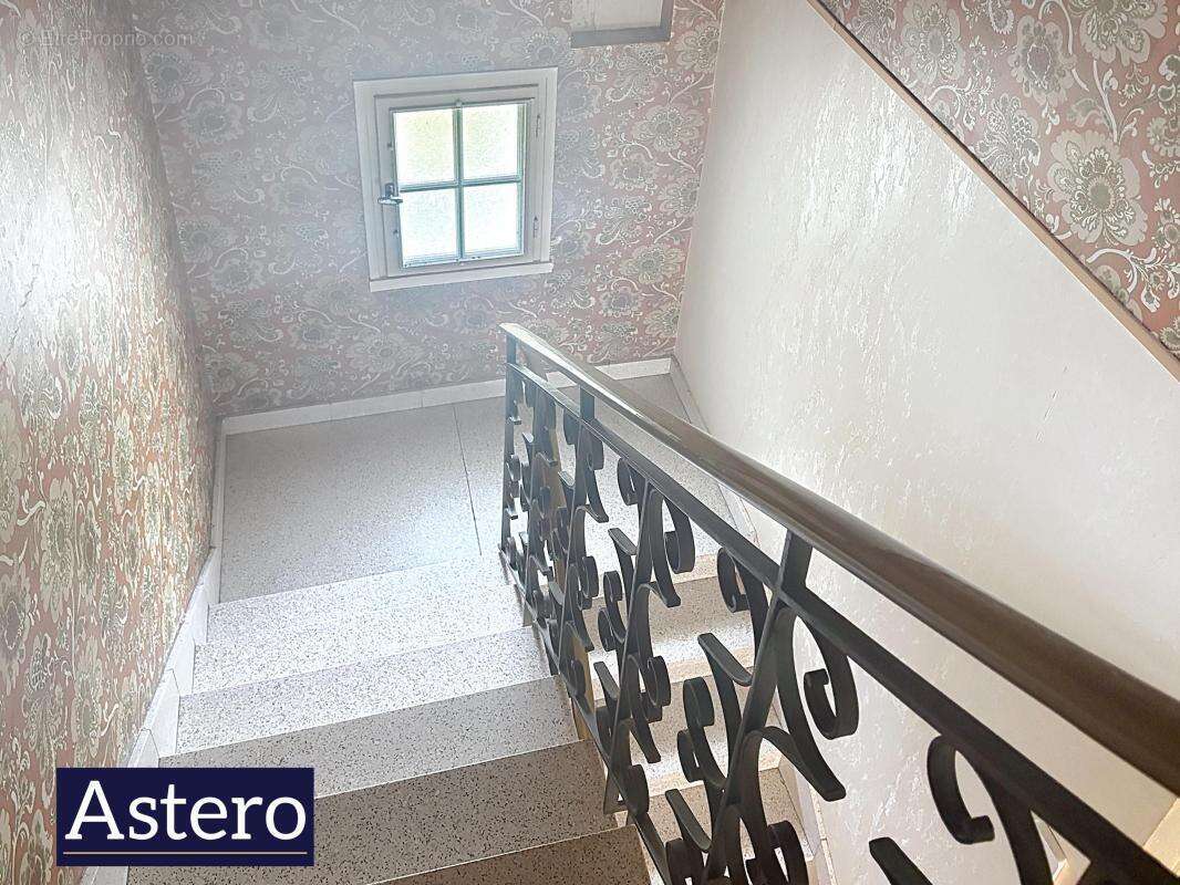 Ploemeur-le couregant-8 chambres-lumineux-verdoyant - photo 6