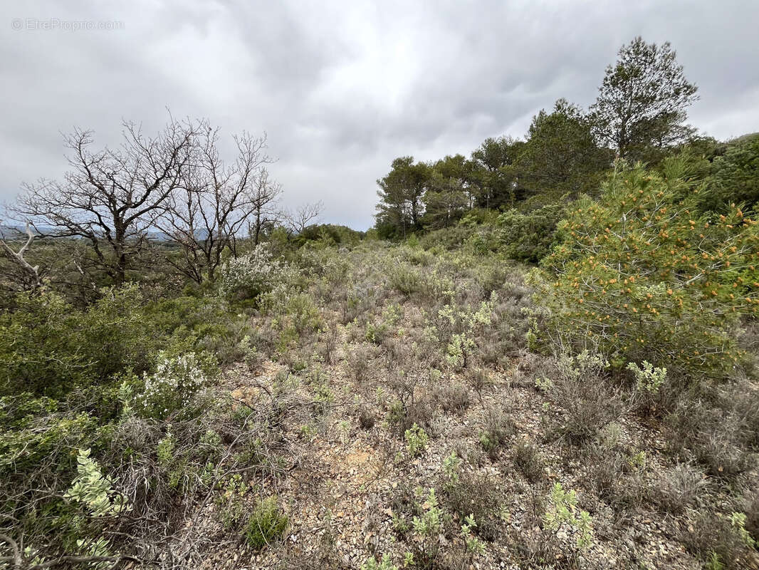 Terrain à SAINT-CHINIAN