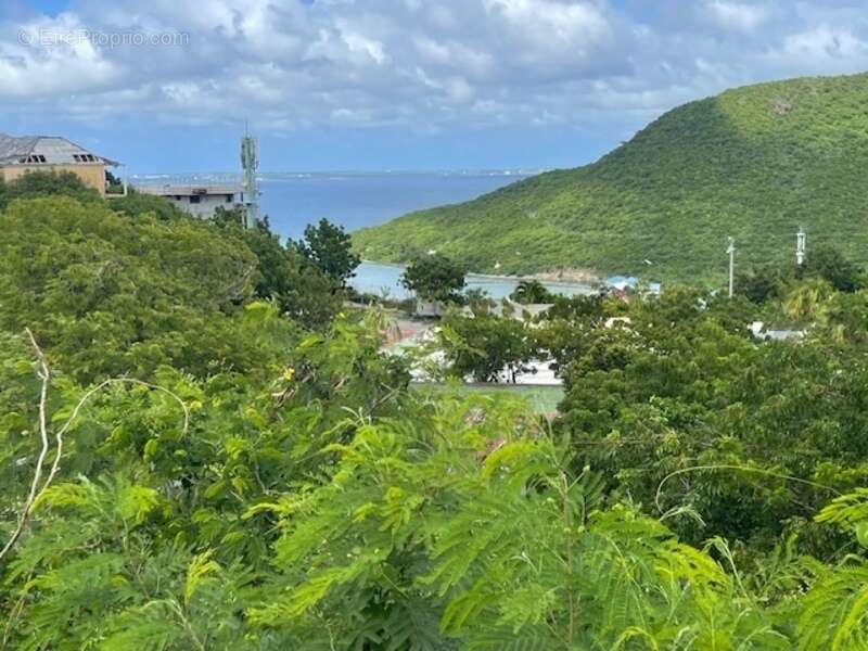 Terrain à SAINT-MARTIN