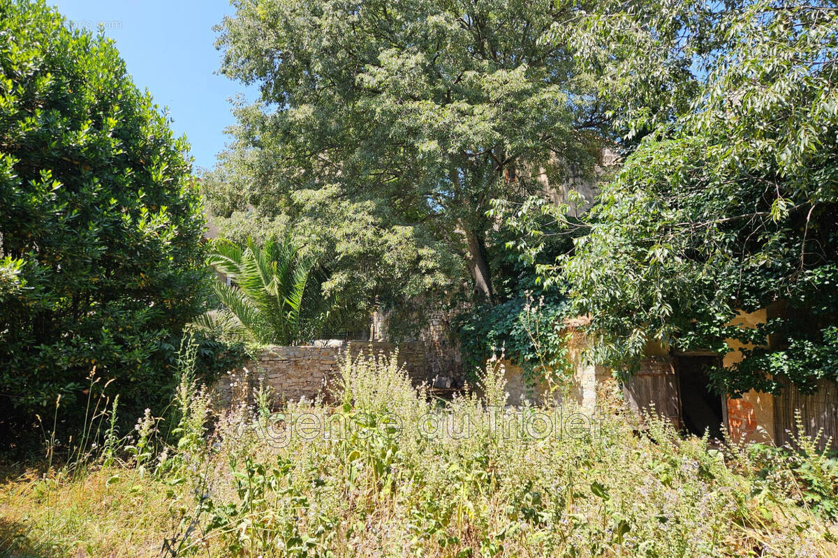 Maison à VIOLS-LE-FORT