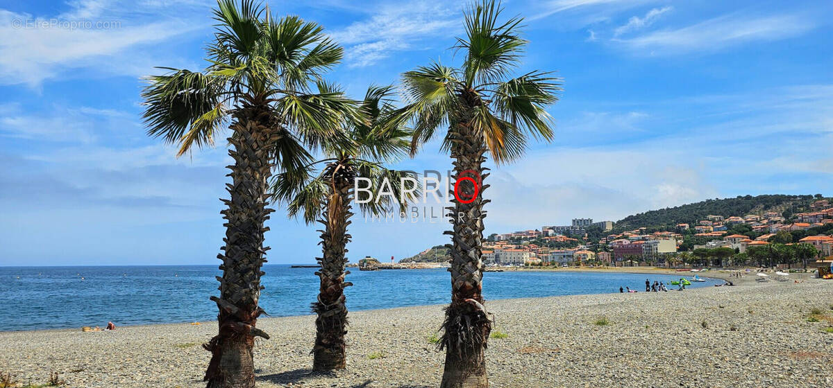 Appartement à BANYULS-SUR-MER