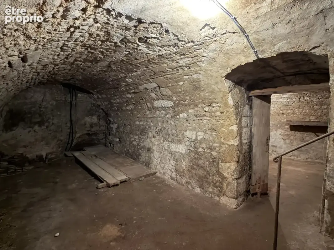 Exclusif auxerre centre-ville viager occupe - photo 11