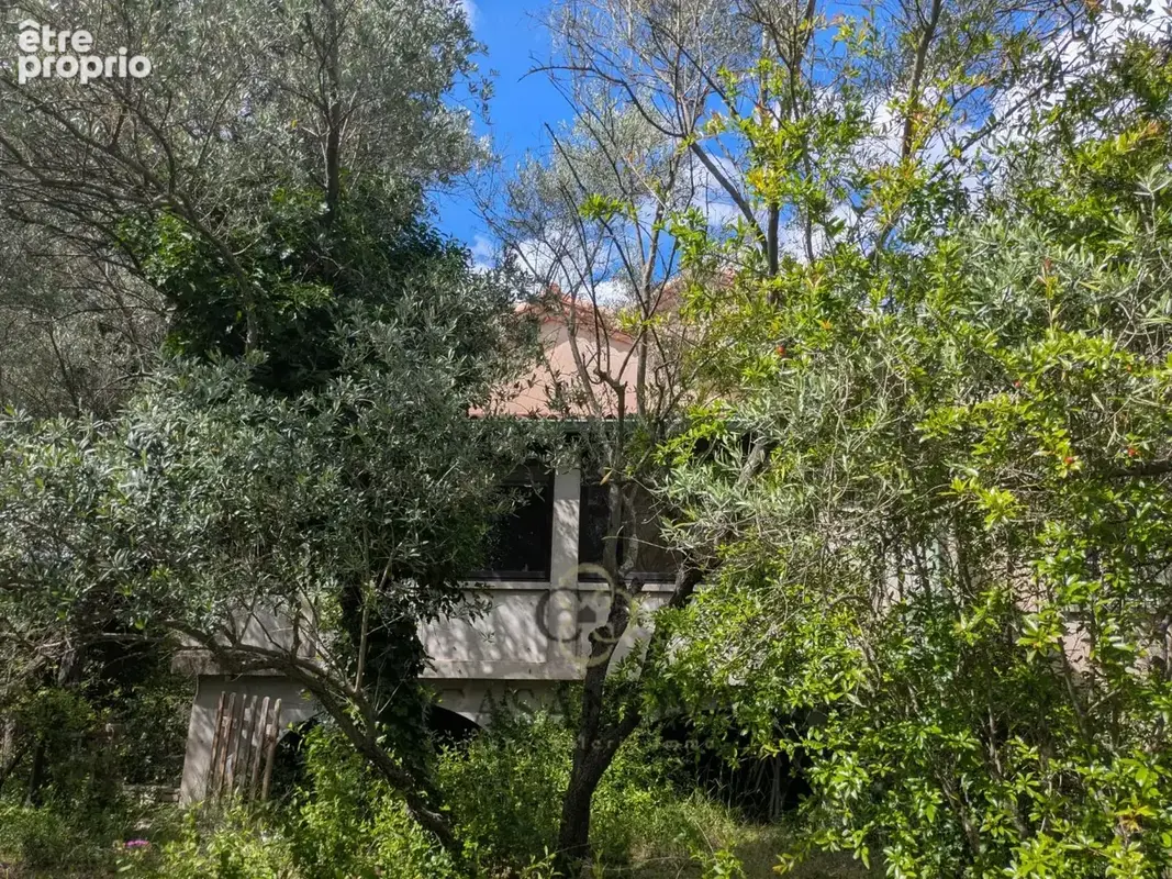 Villa familiale à rénover aux portes de Montpellier  terrain divisible, fort potentiel et jardin arboré - photo 7