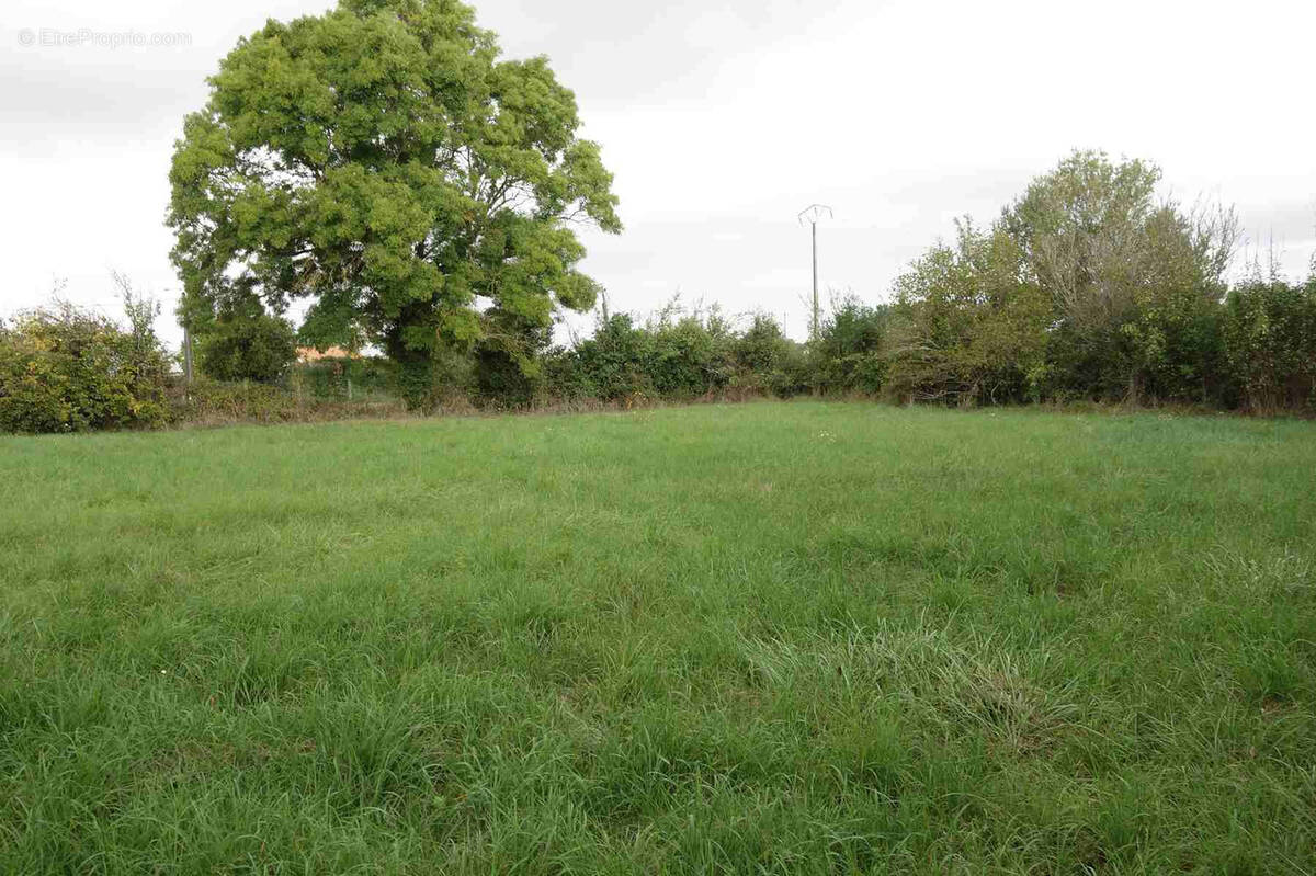 Terrain à CAMPUGNAN
