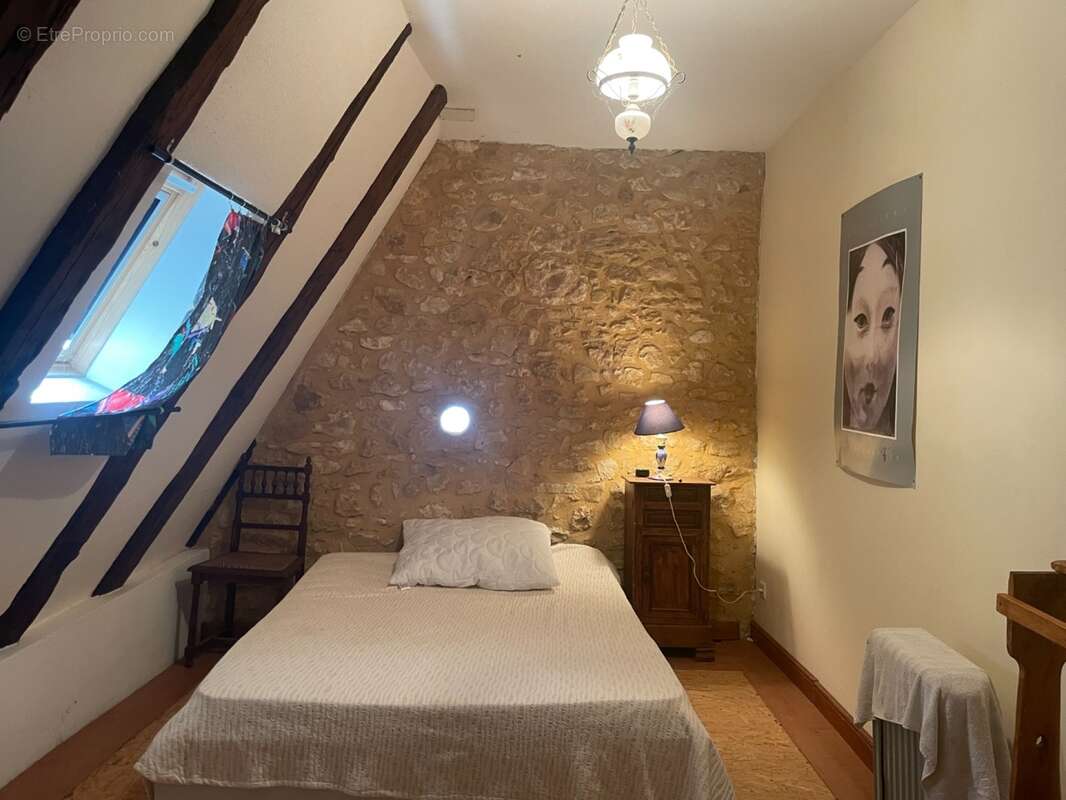 IMG_6935.jpeg - Maison à BEYNAC-ET-CAZENAC