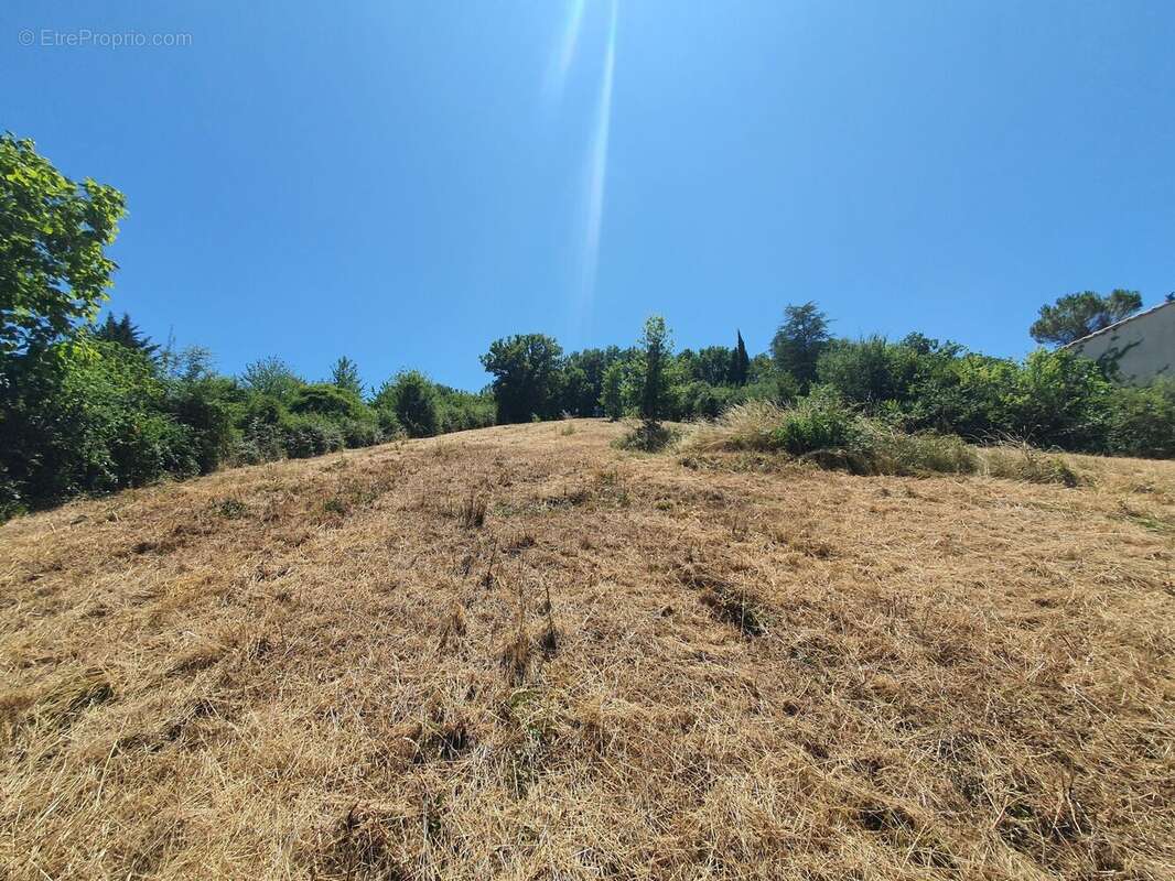 Photo 3 - Terrain à ALBI