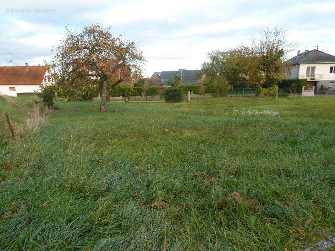 Maison à GUMBRECHTSHOFFEN