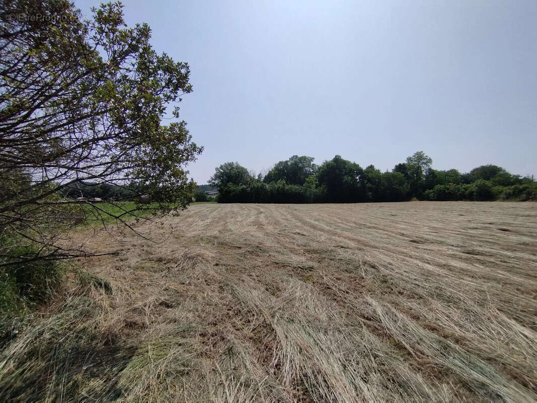 Terrain à CASTELNAU-MONTRATIER