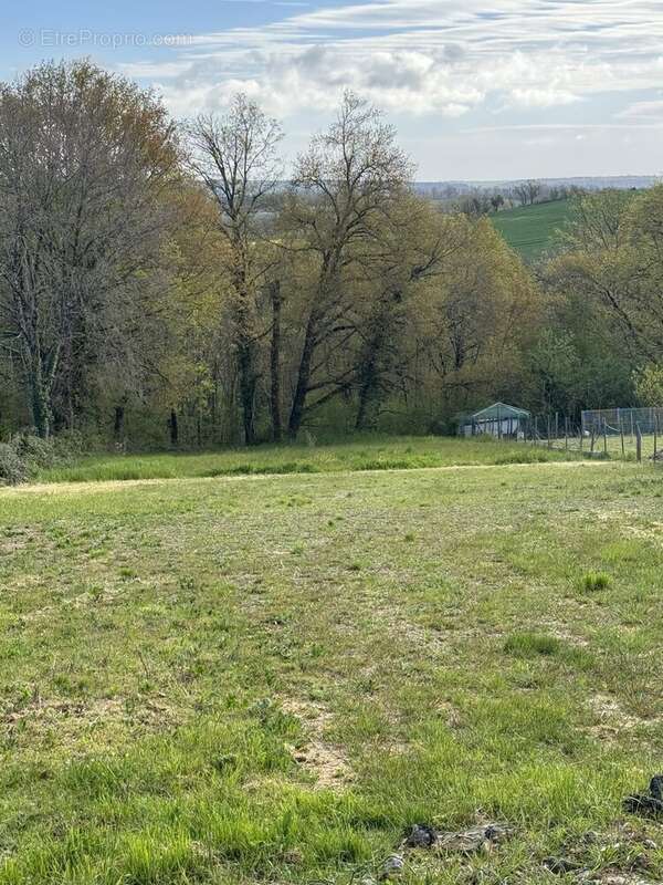 Terrain à RABASTENS