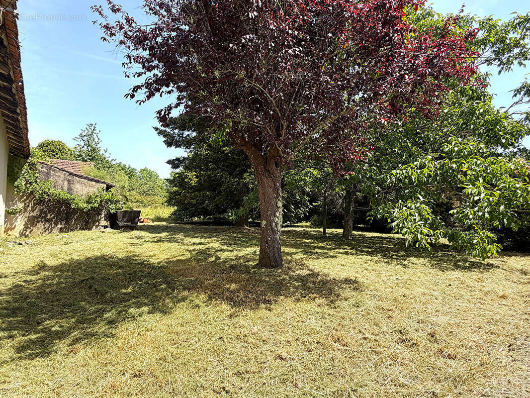 Maison de 83m² habitables avec 2 chambres, dépendances et jardin de 1393m² - photo 13