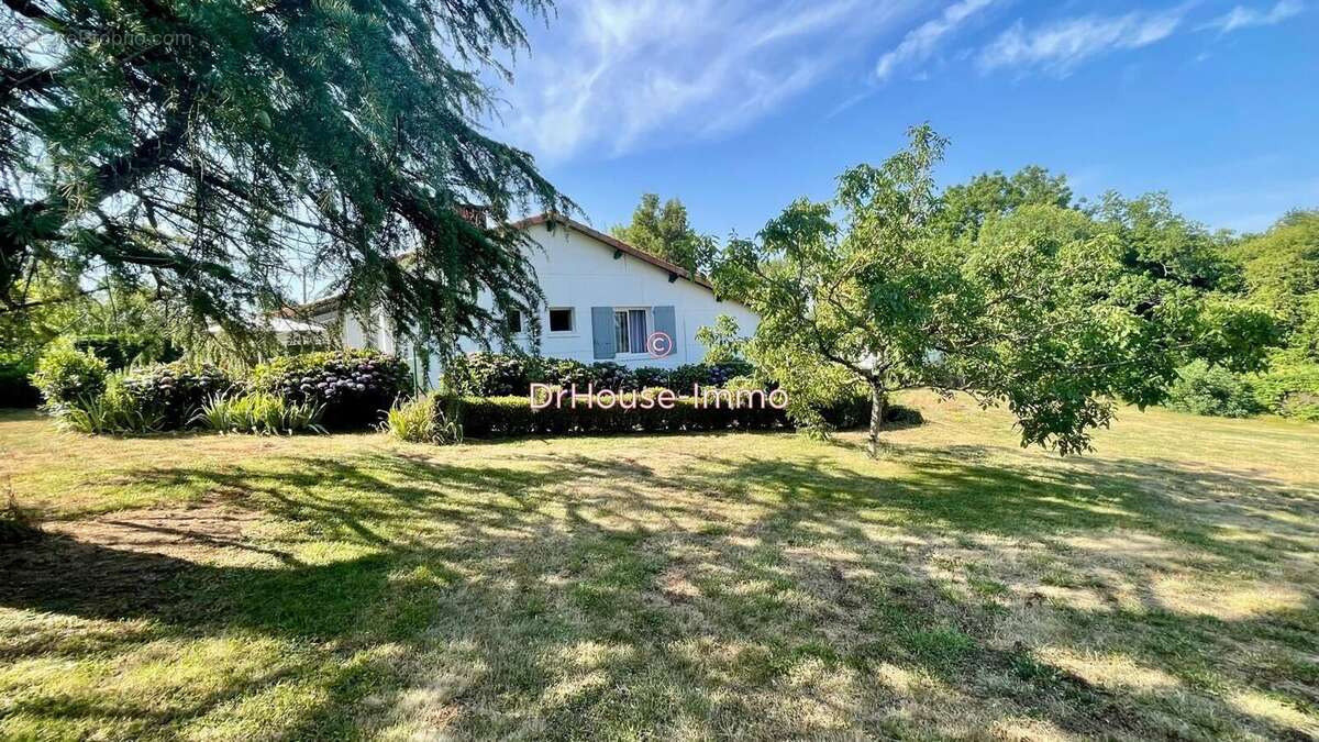 Maison 91 m² à Montredon-Labessonnie  - photo 8