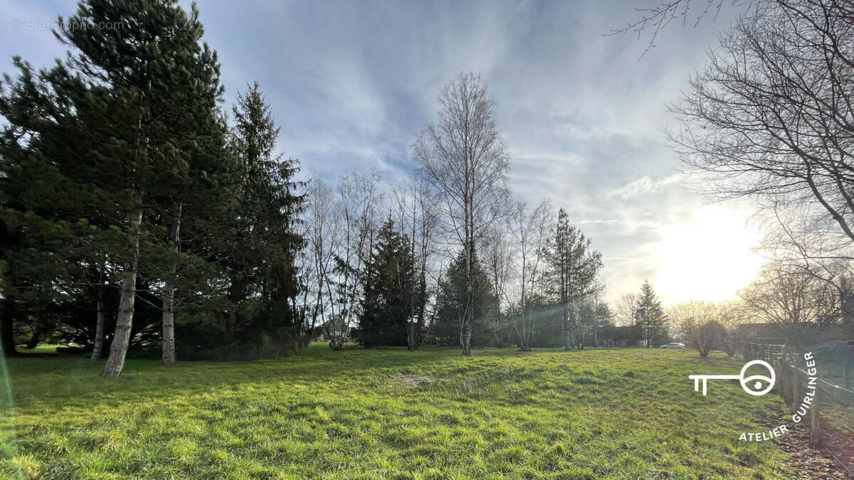 Terrain à MONTRIEUX-EN-SOLOGNE