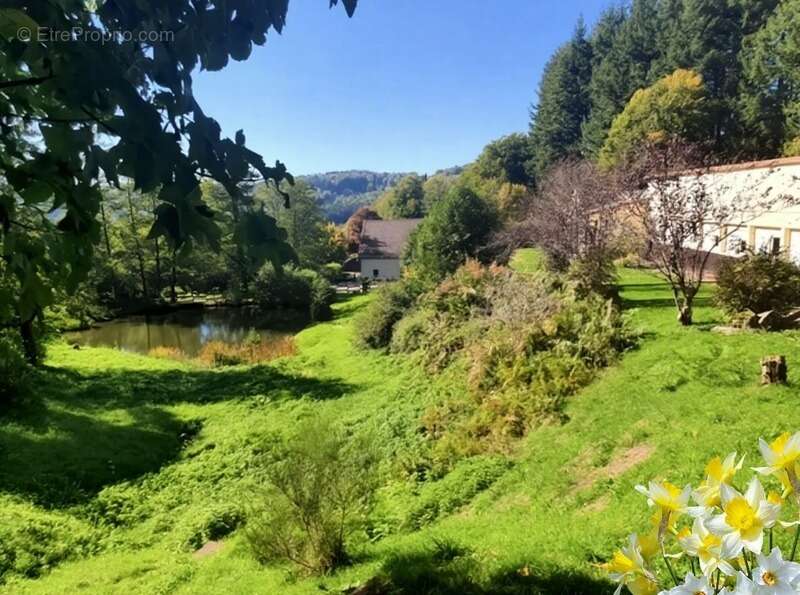 Maison à REMIREMONT