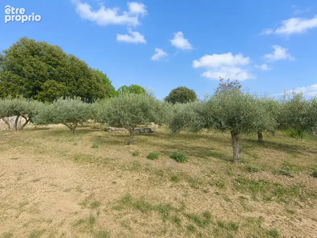 Flassans-sur-issole   terrain plein sud • 895 m2 • au calme - photo 2