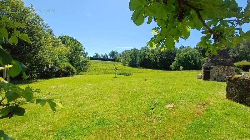 Propriete/Gites 6 hectares, Proche de THENON (24) - photo 10