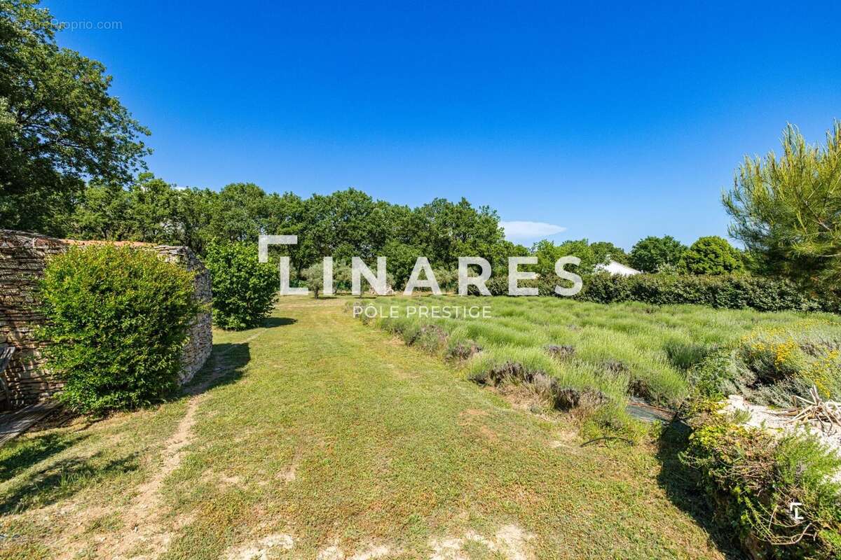 LA BORIE  - Maison provençale T6 de 200m2 avec piscine - 13510 Éguilles - photo 21