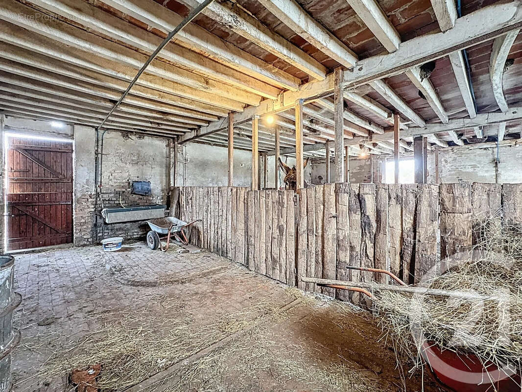 Maison à MENESTREAU-EN-VILLETTE