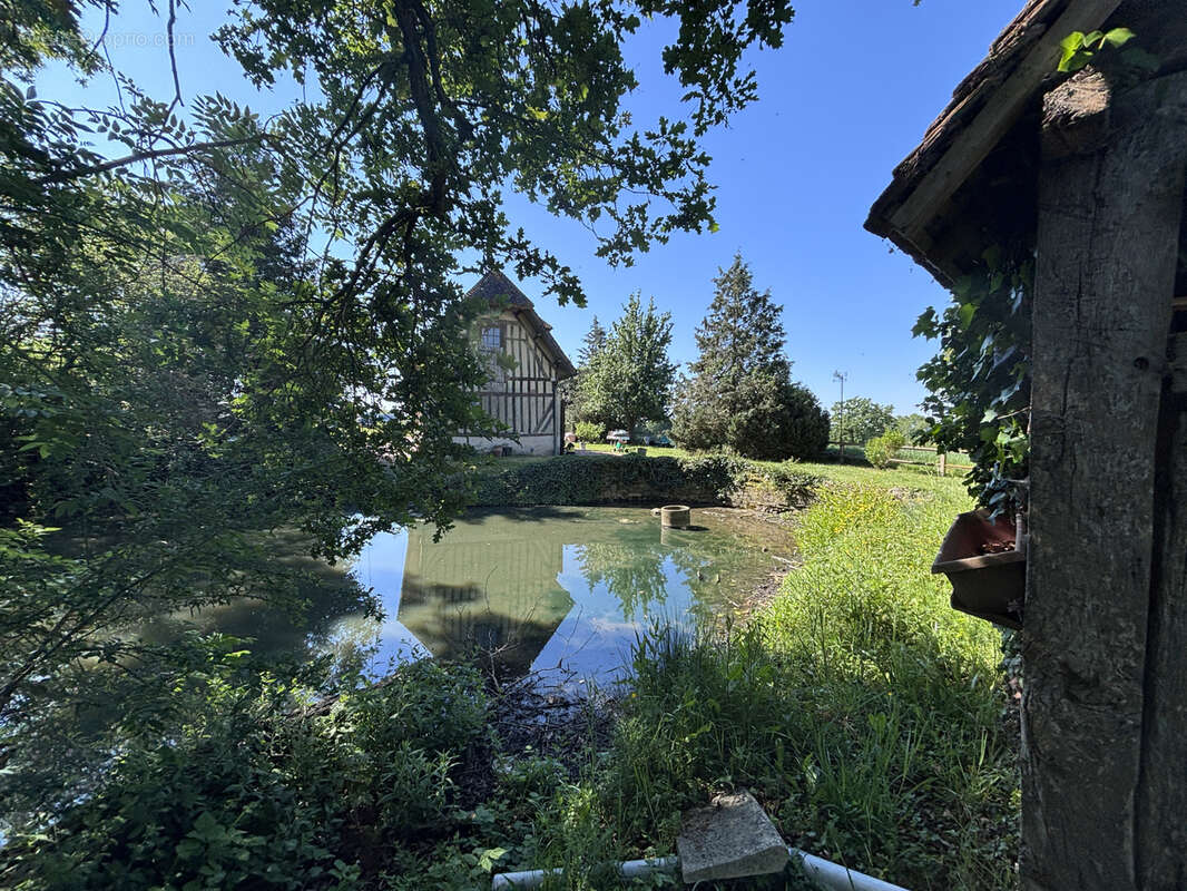 Propriété normande au grand calme - T6 de 141m2 - Piscine et nombreuses dépendances sur 6000m2 - photo 5