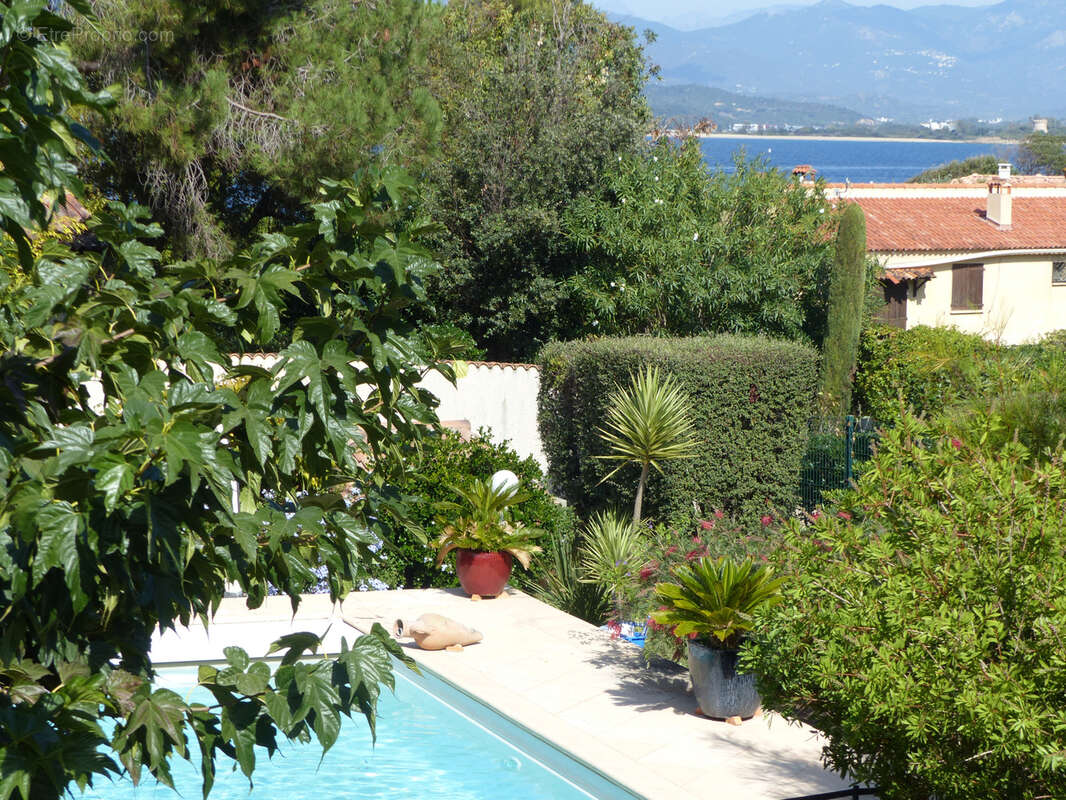 Porticcio villa bord de mer 7 pieces acces  direct plage - photo 8