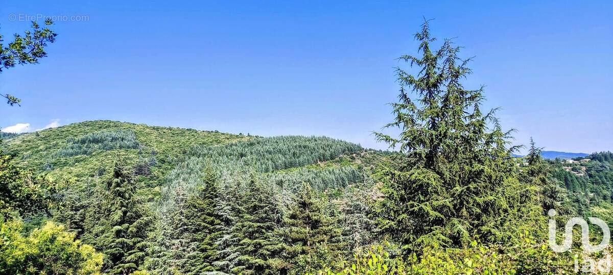 Photo 1 - Terrain à AULAS