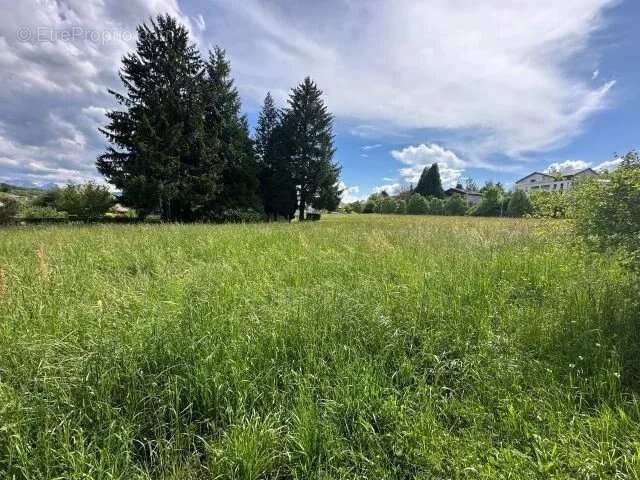 Maison à ALLONZIER-LA-CAILLE