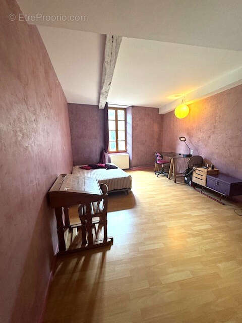 A 20 min de Mirepoix, Grande Maison de caractère, cour, véranda, dans un village de charme avec toute commodités - photo 18