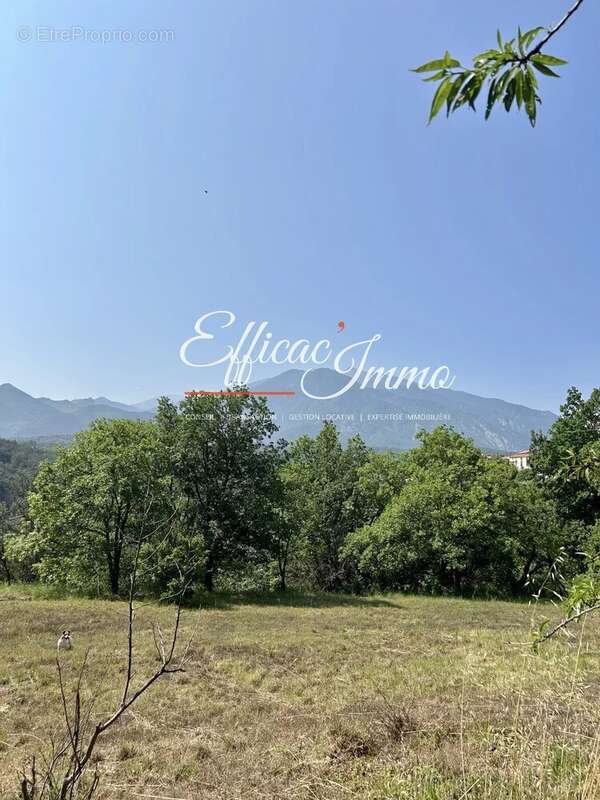 Villa T7 vue sur le Canigou sur 25 700m2 de terrain - photo 3