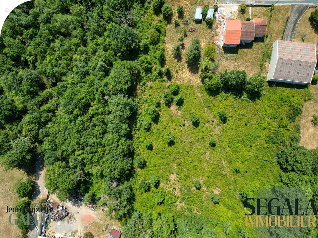Terrain constructible boisé de 6 310 m2 à Mirandol-Bourgnounac - photo 5