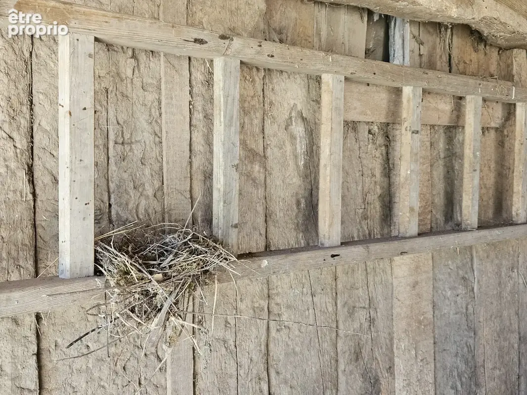 Très belle propriété située commune de La Loubière - photo 40
