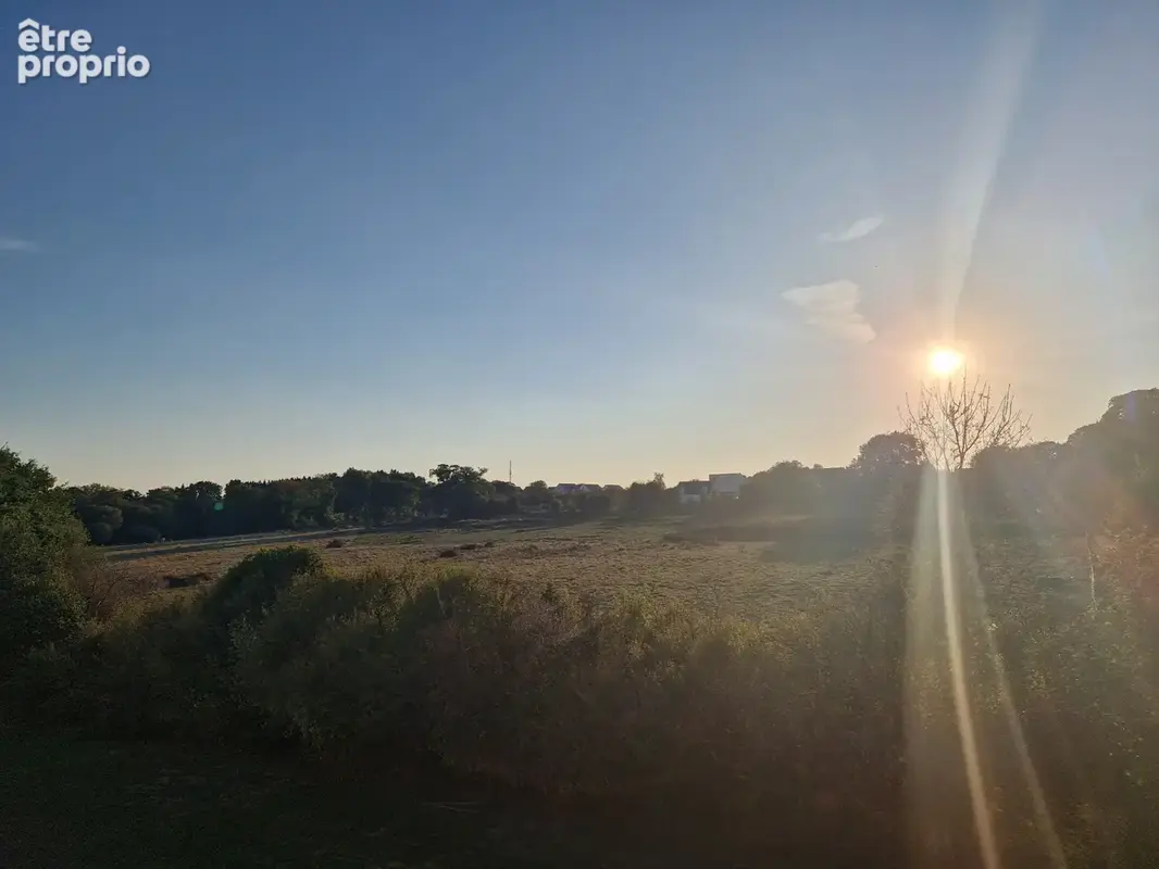 Plein Ouest - photo 6