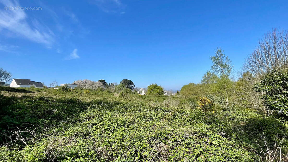 Terrain à QUIMPER