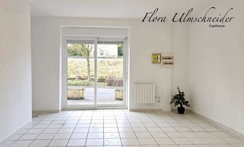 Appartement à SEYSSEL