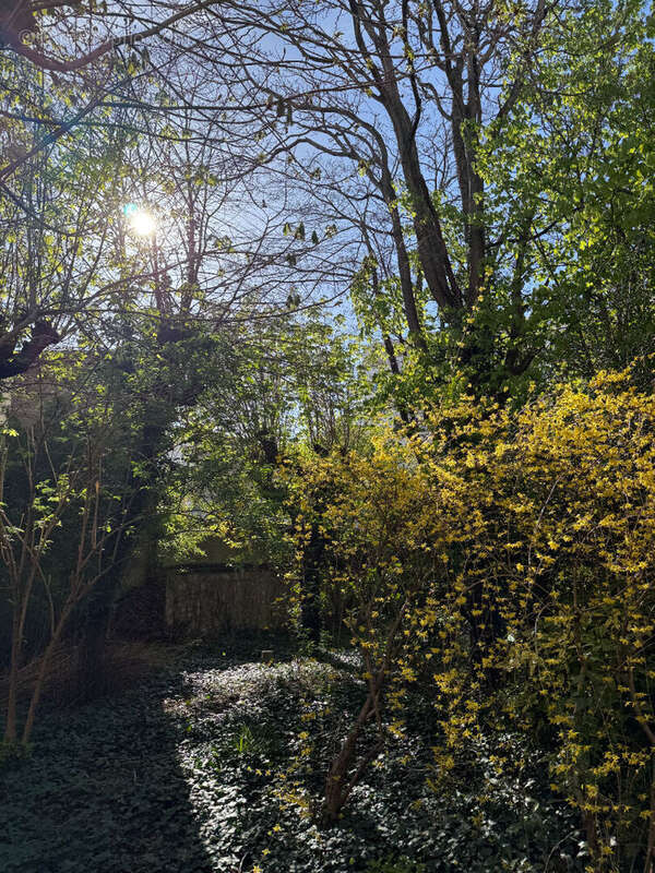 Commerce à MONTREUIL