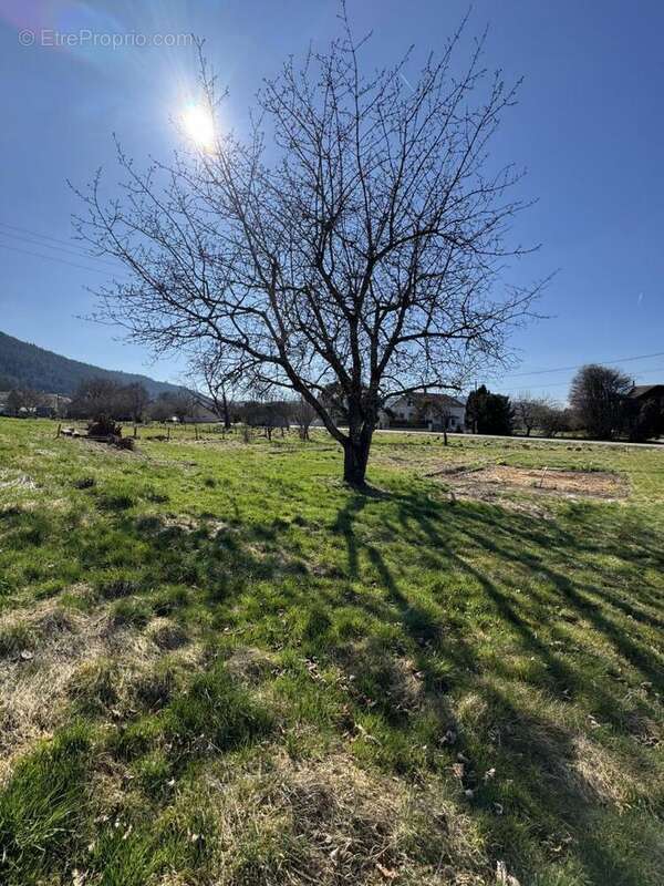 IMG_8589 - Terrain à DOMMARTIN-LES-REMIREMONT