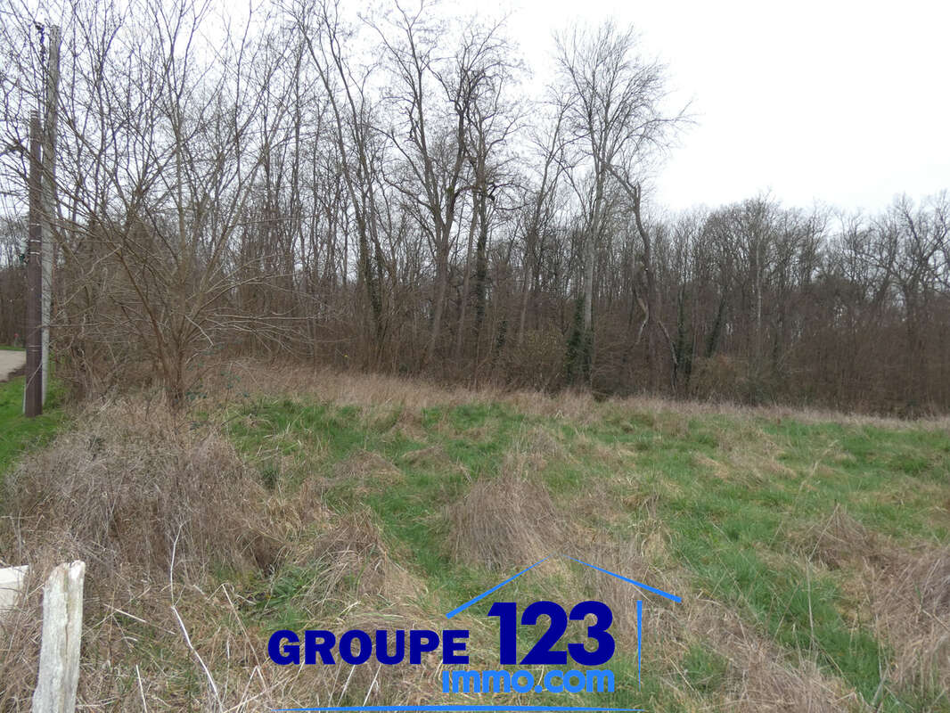 Terrain à APPOIGNY
