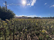 Terrain à JUILLAN