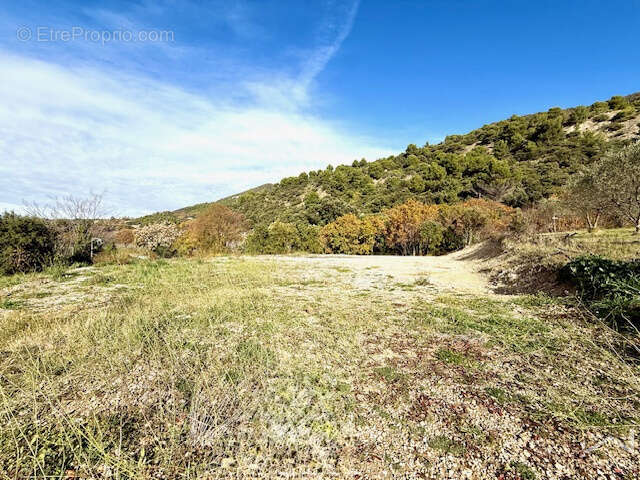 VENTEROL - À vendre, superbe terrain de 1 419 m2 en Drôme Provençale - photo 3