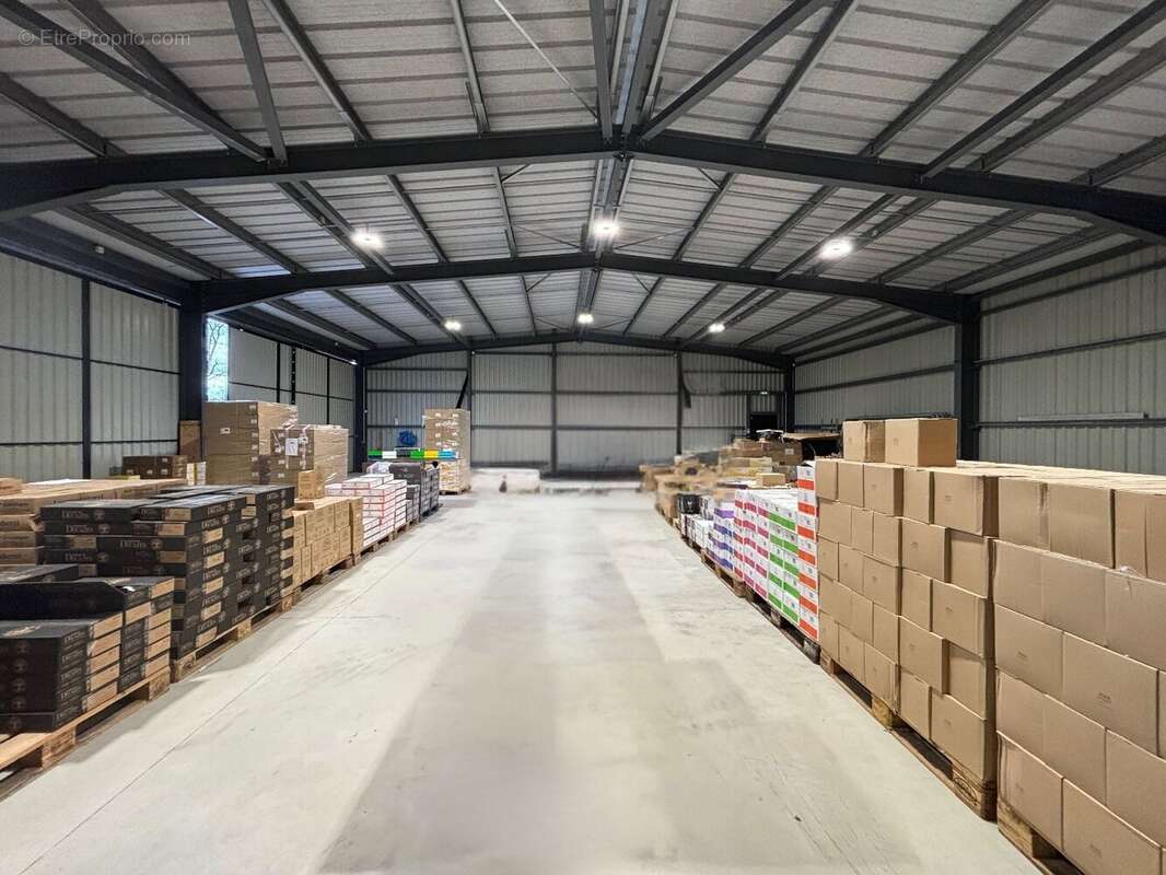 Commerce à SAINT-GEOURS-DE-MAREMNE