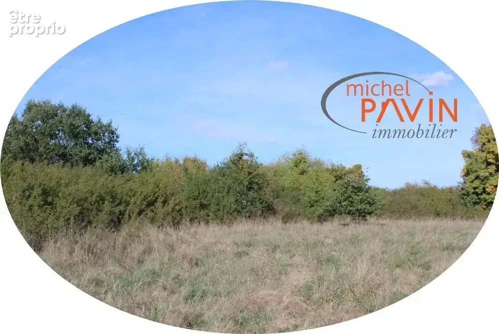 Terrain 25 655 m² à vendre à Jouet-Sur-L'aubois (18320) - photo 6