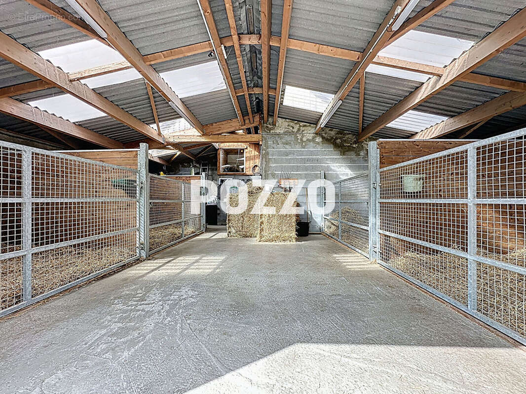 Maison + haras sur 11 ha avec piste, barn, 22 boxes, rond de longe, paddocks et herbage, vue Mt St Michel - photo 12