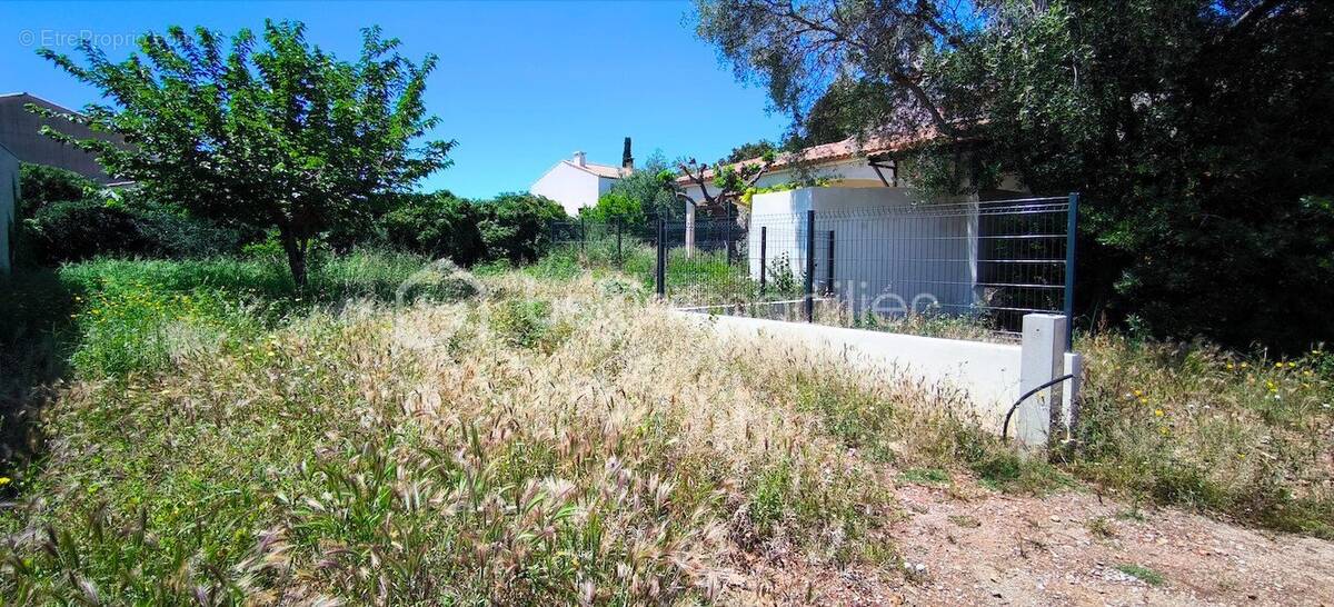 Terrain à FRONTIGNAN