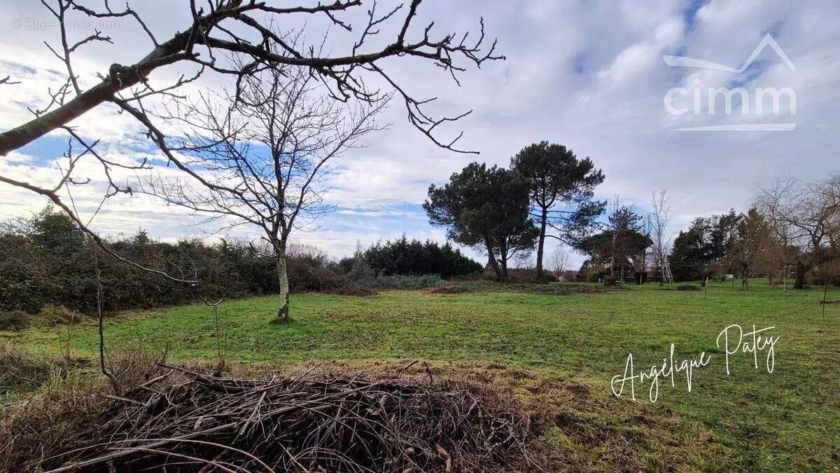 Terrain à CARTELEGUE