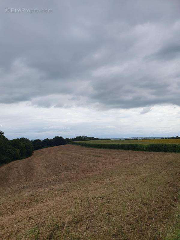 Terrain à SAULT-DE-NAVAILLES