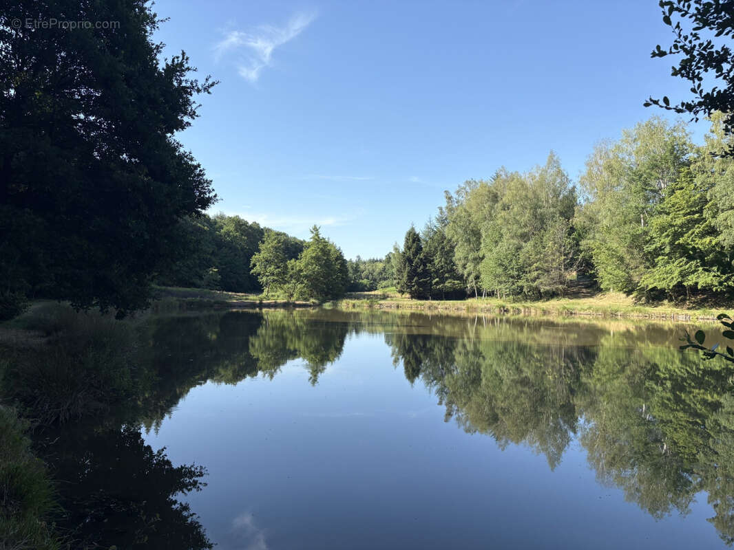Bussière Galant un étang de loisir avec 1.4 ha de terrain boisé - photo 13