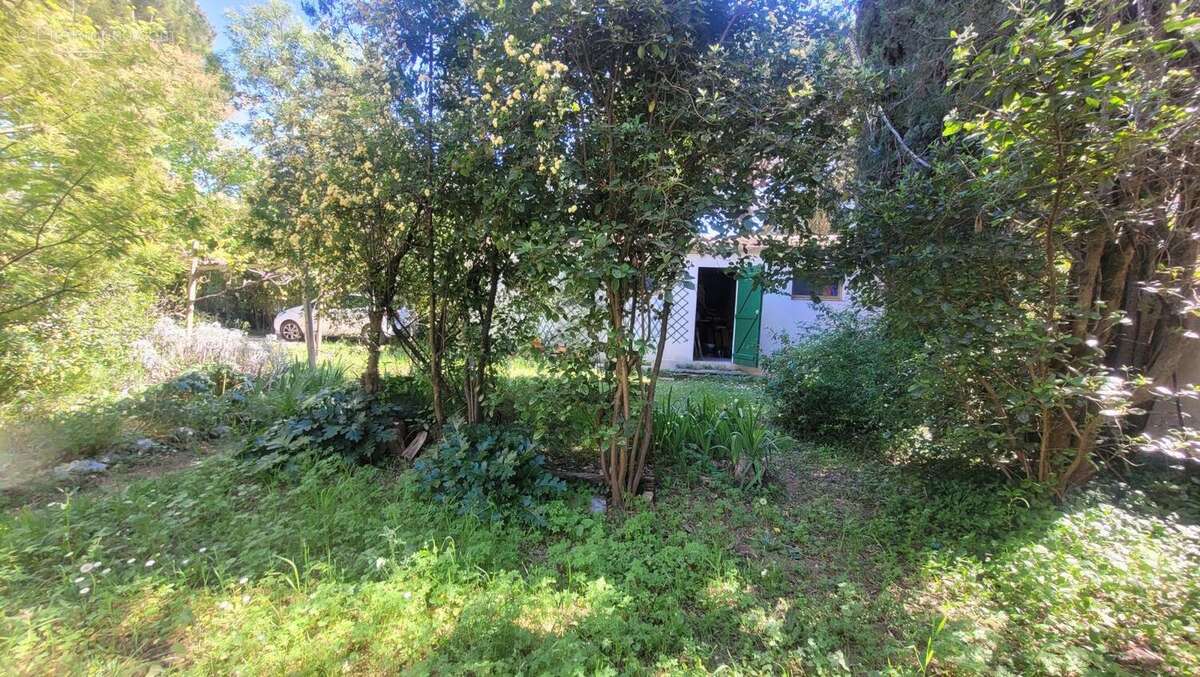 Maison 200 m² à Montpellier  - photo 4