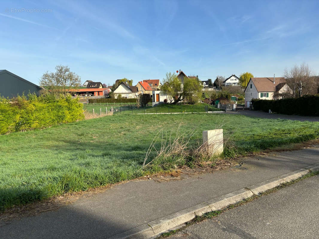 Terrain à RANTZWILLER